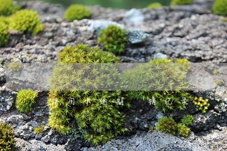 信用卡逾期 销记录 信用卡逾期 销记录